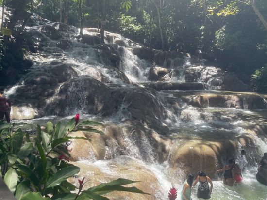 ジャマイカの人気観光地周遊ツアー！ポートランド＋トレンチタウン＋ブルーマウンテン＋オーチョリオス1泊2日＜貸切／英語ドライバーガイド／モンテゴベイ発＞
