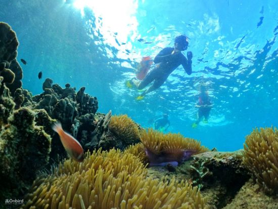 ベトナムの秘境フーコック島　最大10名の少人数制！半月サンゴ礁＆サンゴ山を巡るシュノーケリングツアー＜ホテル送迎付き／英語ガイド＞