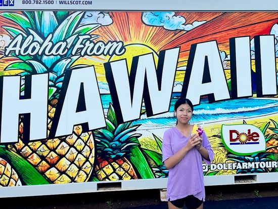 バンまたはミニバス貸切チャーター　ドール・パイナップル農園工場見学＆ハレイワタウン自由散策ツアー　パイナップルのお土産付き＜10名～／日本語ガイド付き＞の写真5