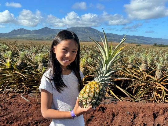 バンまたはミニバス貸切チャーター　ドール・パイナップル農園工場見学＆ハレイワタウン自由散策ツアー　パイナップルのお土産付き＜10名～／日本語ガイド付き＞