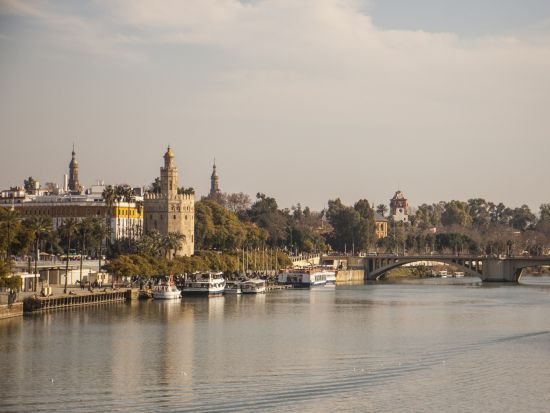 セビリア グルメウォーキングツアー　牛テール煮込みなど名物フードを食べ歩き！ドリンク付＜英語／約3時間＞