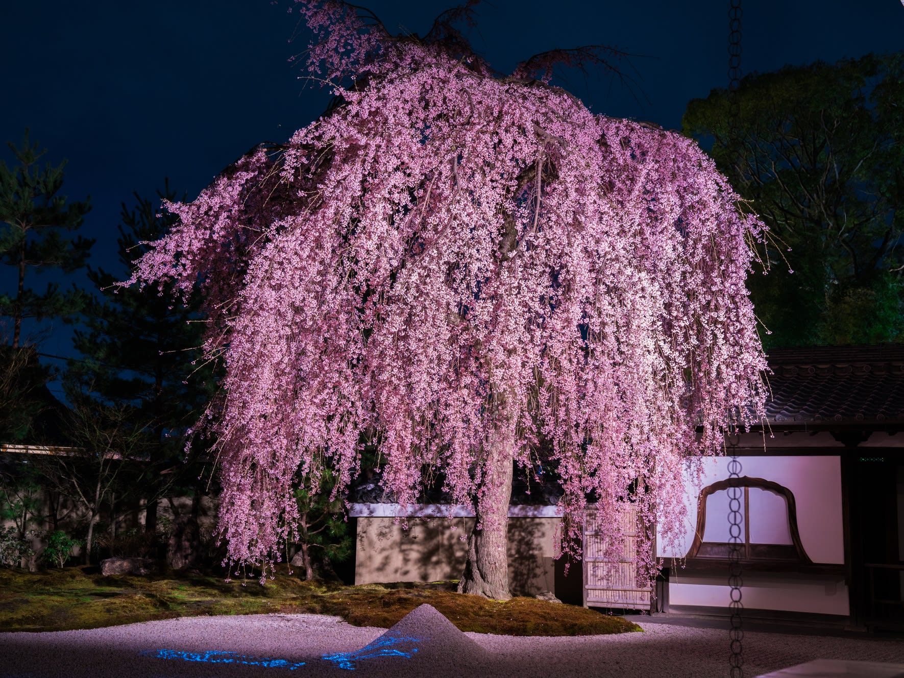 高台寺 圓徳院 拝観チケット2枚 - 美術館・博物館