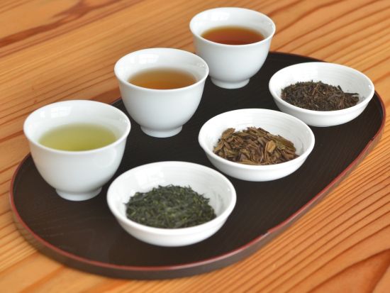 和束茶カフェ 和束茶飲み比べと美味しい淹れ方体験＜和菓子付き／30分／京都・和束町＞