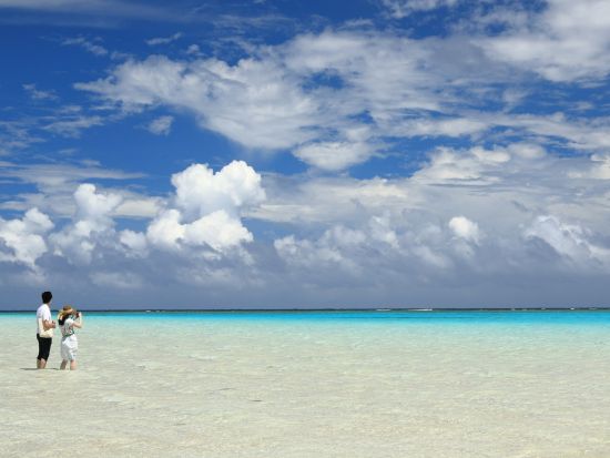 百合ヶ浜 上陸＋ウミガメ＆赤崎サンゴの森＆クマノミシュノーケリングツアー　3歳～参加可能　＜約3.5時間／大金久海岸発＞ by タンディーマリン