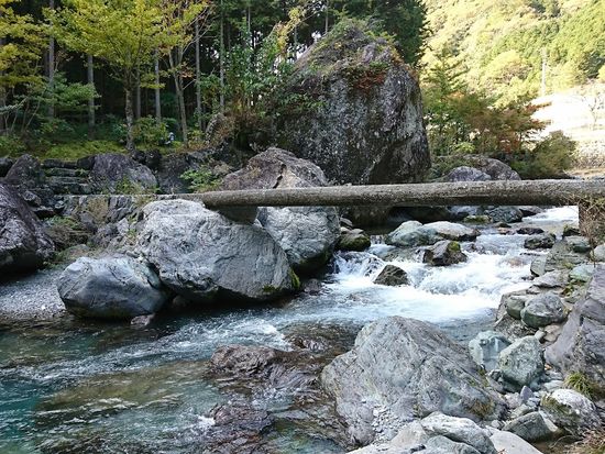 クラフトビール館そばの沈下橋