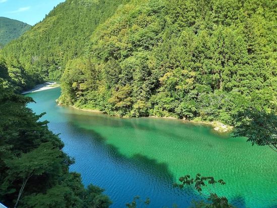 道路から見下ろす土居川