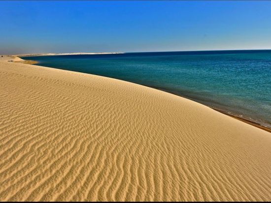 【貸切】デザートサファリ　砂丘ドライブ＋インランドシー＜半日／英語／往復送迎／空港送迎可／ドーハ発／トランジット利用可＞