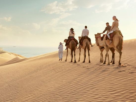 【貸切】デザートサファリ　砂丘ドライブ＋インランドシー＜半日／英語／往復送迎／空港送迎可／ドーハ発／トランジット利用可＞