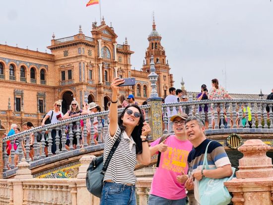 セビリア 旧市街ウォーキングツアー アルカサル入場券付き フラメンコ鑑賞プランあり＜半日または1日／日本語＞