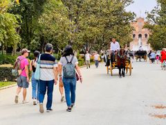 group-arriving-at-plaza-espana-seville-tour