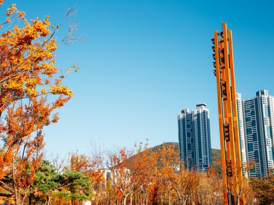 釜山 人気K-POPグループの聖地を巡るツアー！釜山市民公園＆広安里ビーチ＆五六島スカイウォークなど＊中華料理の昼食付き＜1日／日本語ガイド／釜山ホテル送迎付＞