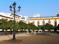 Spain_Seville_Patio de Banderas_pixta_6385281_M