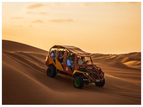 ナスカの地上絵遊覧飛行&バジェスタス島&ワカチナオアシス日帰り観光ツアー＜1日／英語ドライバーガイド／リマ発＞