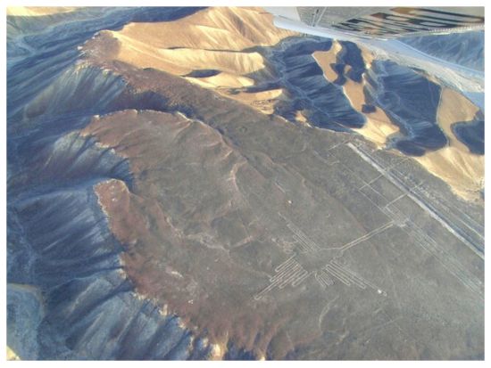 ナスカの地上絵遊覧飛行&バジェスタス島&ワカチナオアシス日帰り観光ツアー＜1日／英語ドライバーガイド／リマ発＞