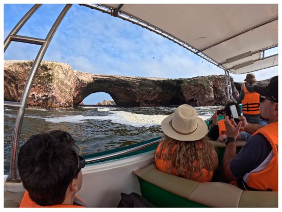 ナスカの地上絵遊覧飛行&バジェスタス島&ワカチナオアシス日帰り観光ツアー＜1日／英語ドライバーガイド／リマ発＞