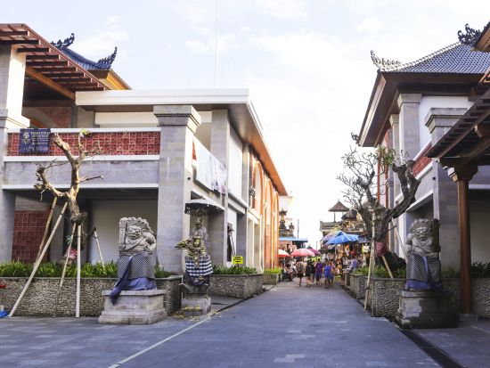 【貸切】車チャーター　アレンジ自在なバリ島観光を満喫 ＜日本語ガイド付き＞