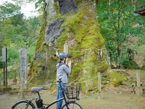 レンタサイクル e-BIKE(電動自転車)でアップダウンも快適！阿蘇の雄大な大自然を満喫する旅＜1～7時間／南小国町＞
