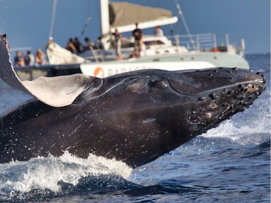 Shutterstock_1688252671(1)