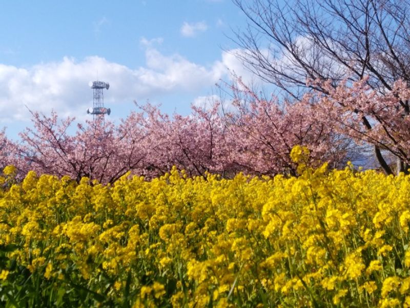 h8zu5ImoyJOyFEN4MbCLsIiKqjoQhLDD