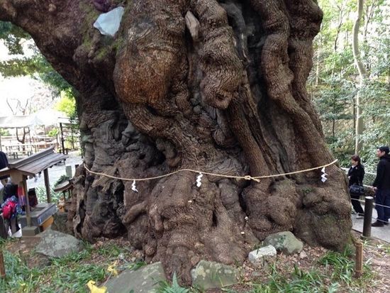 wP7SNAHl1WDibdgTuLT95AtaKxm19fAQ