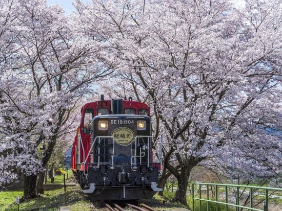 阪急1日乗車券＋嵯峨野トロッコ片道切符セット　関西人気観光と保津峡渓谷を満喫＜トロッコ嵯峨・嵐山駅 ～トロッコ亀岡駅＞