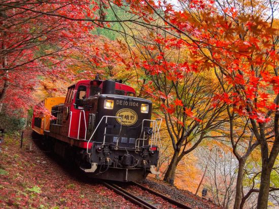 嵯峨野トロッコ列車 片道乗車券 事前予約＜トロッコ嵯峨駅～トロッコ亀岡駅＞