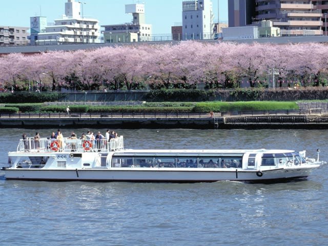 お花見日帰りバスツアー 隅田川千本桜クルーズ＆築地人気店「すしざんまい」の選べるにぎり寿司ランチ付＜3月16日～4月7日／浅草出船＞【033033-11】  | 東京の観光&遊び・体験・レジャー専門予約サイト VELTRA(ベルトラ)