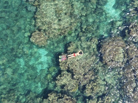 プライベート シュノーケリングツアー 無料SUP体験付き！＜貸切／日本人スタッフ同行／半日 or 1日＞