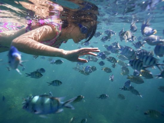 プライベート シュノーケリングツアー 無料SUP体験付き！＜貸切／日本人スタッフ同行／半日 or 1日＞