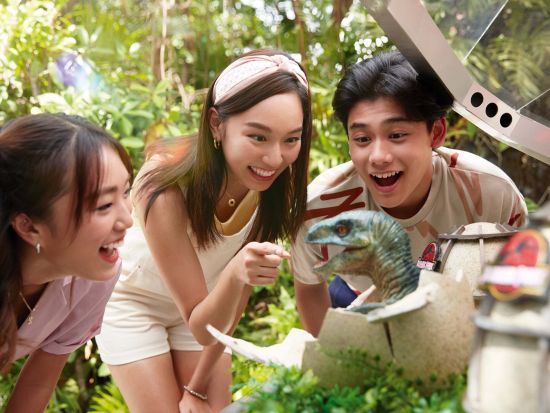 ユニバーサル・スタジオ・シンガポール 入場チケット　3営業日前までキャンセル料無料！＜チケット引き換え不要／希望場所お迎え付きプランあり＞