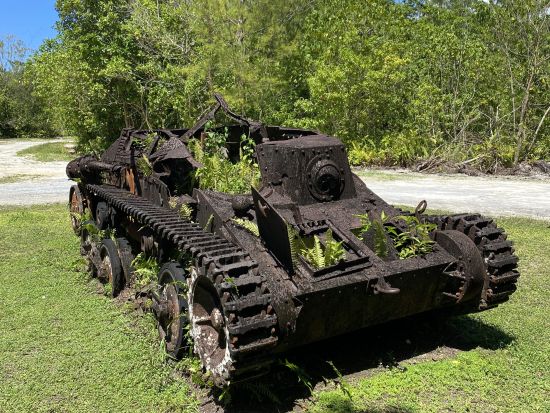 ペリリュー島戦跡ツアー　日本語ガイドと歴史を辿る1日ツアー＜昼食付／送迎付き＞by Rock Island Tour Company