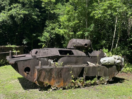 ペリリュー島戦跡ツアー　日本語ガイドと歴史を辿る1日ツアー＜昼食付／送迎付き＞by Rock Island Tour Company