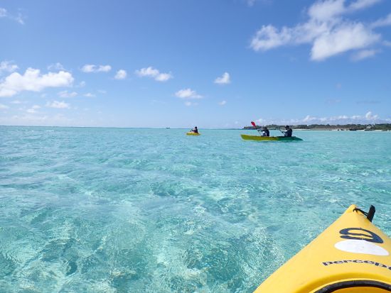 幻の島 百合ヶ浜へ渡るシーカヤックツアー 美しい景色を眺めながら水上散歩を満喫！オプションでドローン撮影も可能 ＜大金久海岸発＞ by Muuru