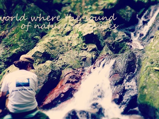 奄美の隠れた原生林ツアー ～金作原を越える3つの選択肢～＜笠利町＞by 奄美大島ウェルネス&アドベンチャーUNIMARE