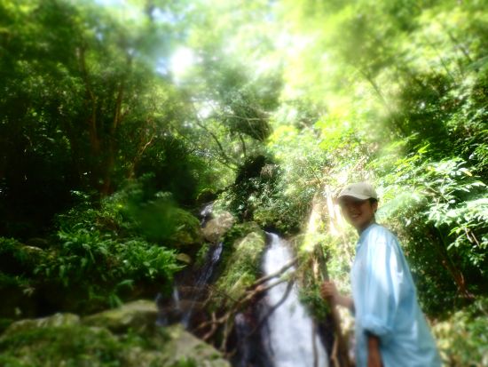 奄美の隠れた原生林ツアー ～金作原を越える3つの選択肢～＜笠利町＞by 奄美大島ウェルネス&アドベンチャーUNIMARE