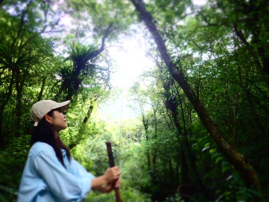 奄美の隠れた原生林ツアー ～金作原を越える3つの選択肢～＜笠利町＞by 奄美大島ウェルネス&アドベンチャーUNIMARE