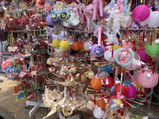 ベトナム最大の中華街「チョロン」散策ツアー ベトナム文化をより深く学ぶ！＜貸切／午前 or 午後／ホテル往復送迎付／現地ガイド(日本語可)＞