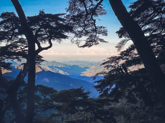 813太平洋登山隊玉山單攻 (9)