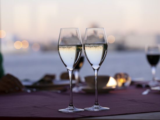 横浜ディナークルーズ マリーンルージュ記念日プラン 海を見ながら船上ディナーを楽しむ♪ 選べる3コースをご用意 2名様限定＜赤レンガ倉庫発着＞