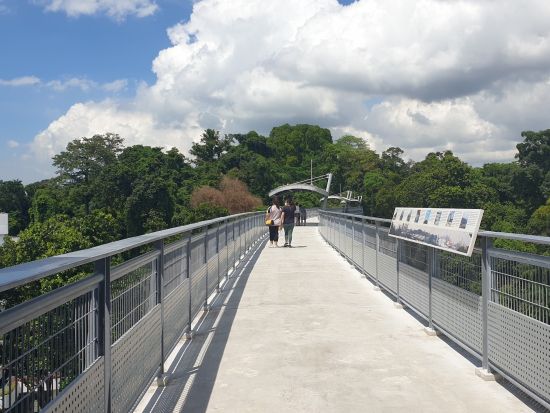 ケーブルカーで行く！セントーサ島まるごと観光ツアー  ユニバーサル・スタジオ・シンガポール入場チケット付きプランあり＜日本語ガイド付き＞