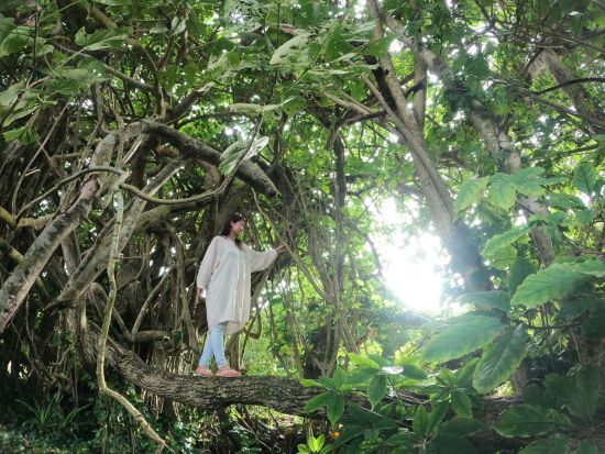 【貸切】奄美北部絶景フォトツアー 心に残る最高の瞬間（半日／1日）＜笠利町＞by 奄美大島ウェルネス&アドベンチャーUNIMARE