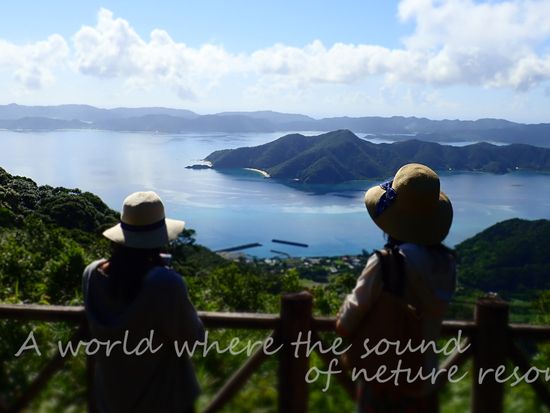 2018.721加工データ８