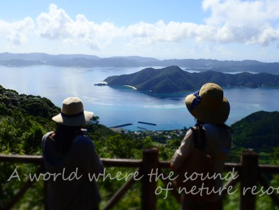 【貸切】奄美北部絶景フォトツアー 心に残る最高の瞬間（半日／1日）＜笠利町＞by 奄美大島ウェルネス&アドベンチャーUNIMARE