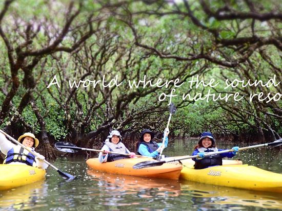 2019.1.12加工データ38