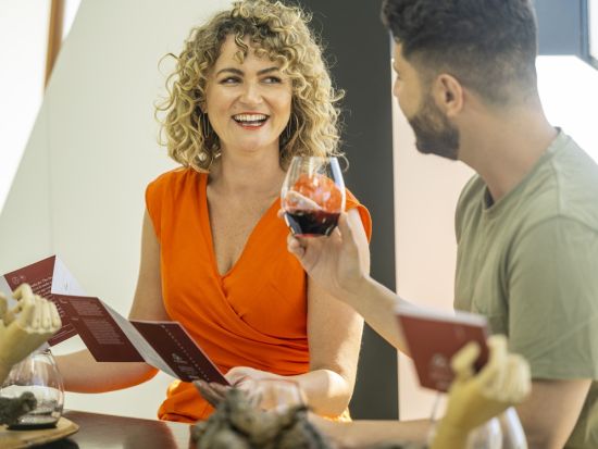 ダーレンベルグワイナリー 4つのヴィンテージワインの試飲 話題の「ダーレンベルグキューブ」ではアート空間を堪能＜英語ガイド／アデレードから車で約45分＞