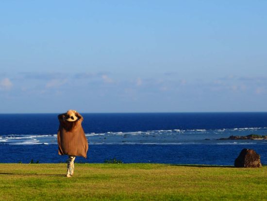【奄美大島・北部中部エリア・貸切】冬も寒くならない防水ウミガメシュノーケル＆ネイチャーツアー選べる3プラン by奄美大島ウェルネス&アドベンチャーUNIMARE