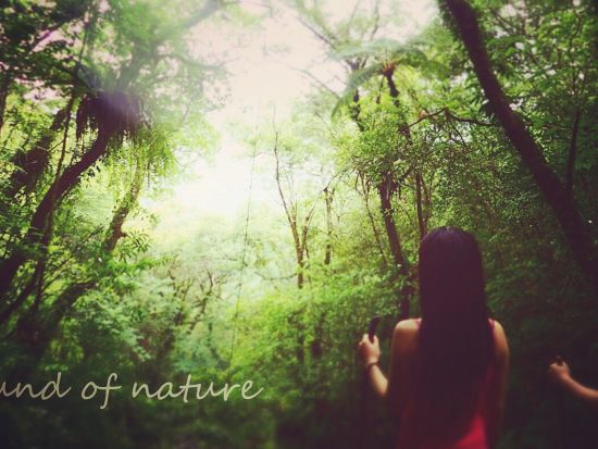 【奄美大島・北部中部エリア・貸切】スキンダイビング＆ネイチャーツアー選べる3プラン＜笠利町＞ by 奄美大島ウェルネス&アドベンチャーUNIMARE