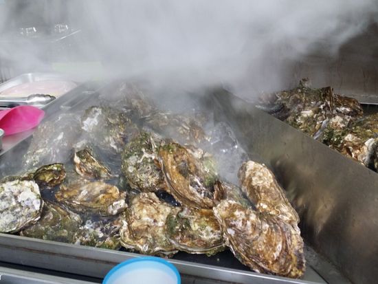 カキ写真　1枚目の写真と差し替えお願いします。