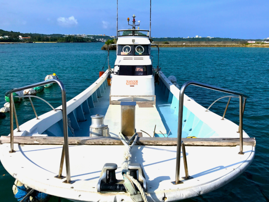 北部発ホエールウォッチング 完全貸切ボートチャーターでクジラに会いに行こう！感動的な自然体験へご案内します＜3時間／2月～3月／恩納村＞ 