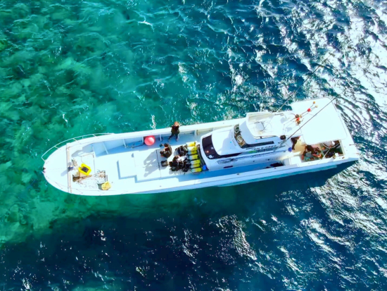 北部発ホエールウォッチング 完全貸切ボートチャーターでクジラに会いに行こう！感動的な自然体験へご案内します＜3時間／2月～3月／恩納村＞ 